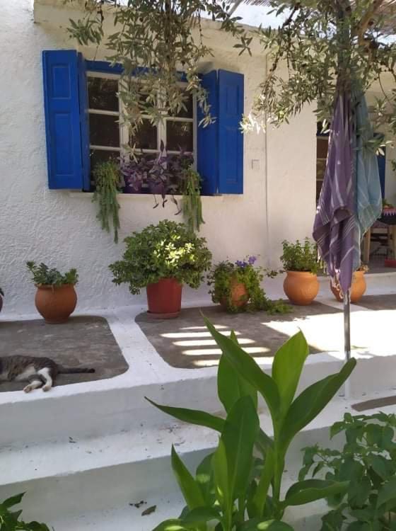 Stamoulis Apartments Kampos Marathokampou 외부 사진