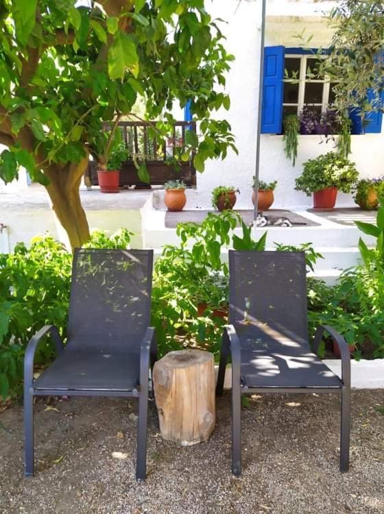 Stamoulis Apartments Kampos Marathokampou 외부 사진