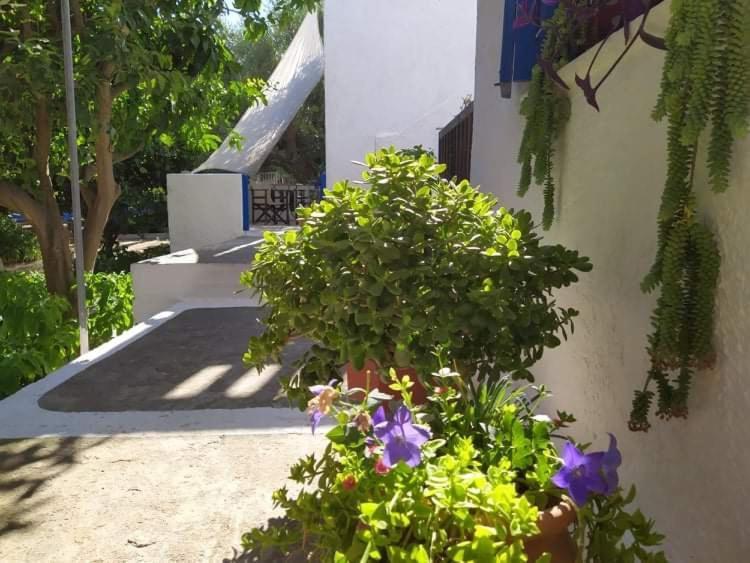 Stamoulis Apartments Kampos Marathokampou 외부 사진