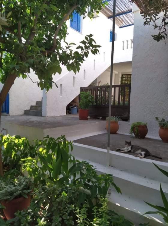Stamoulis Apartments Kampos Marathokampou 외부 사진